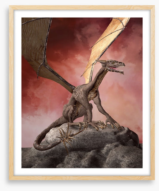 Dragons