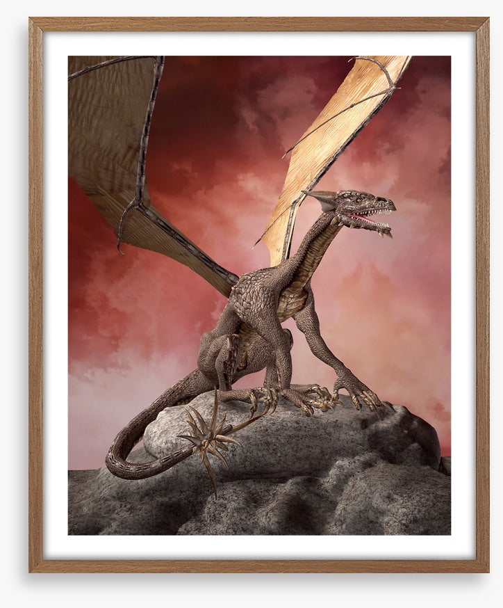 Dragons
