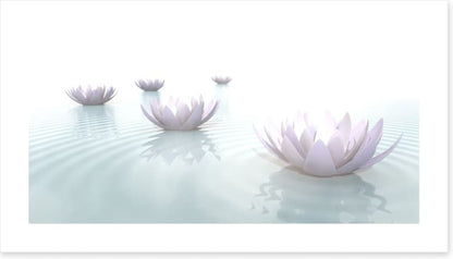 Soft floating lotus