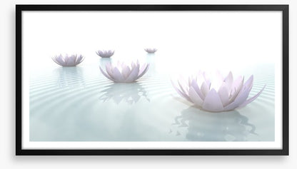 Soft floating lotus