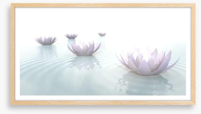 Soft floating lotus