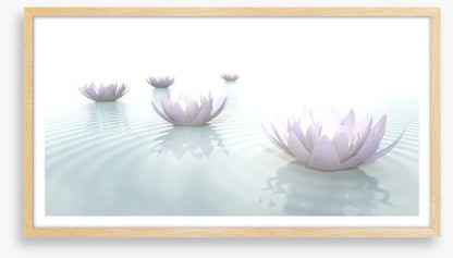 Soft floating lotus