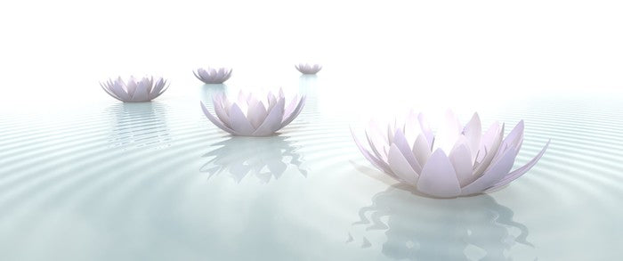 Soft floating lotus
