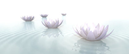 Soft floating lotus