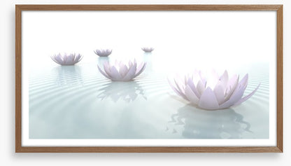 Soft floating lotus