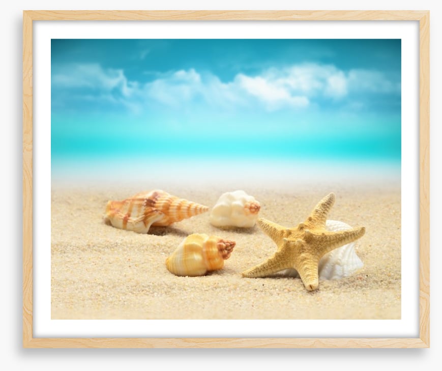Starfish and seashells