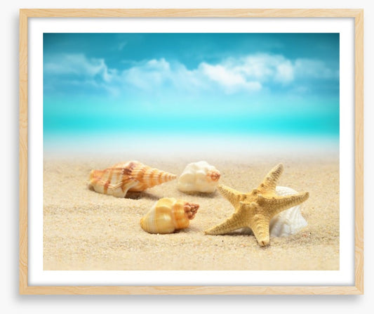 Starfish and seashells