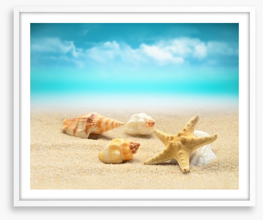 Starfish and seashells