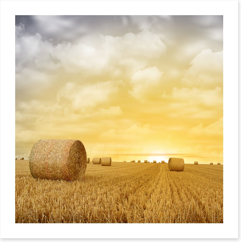 Baled up