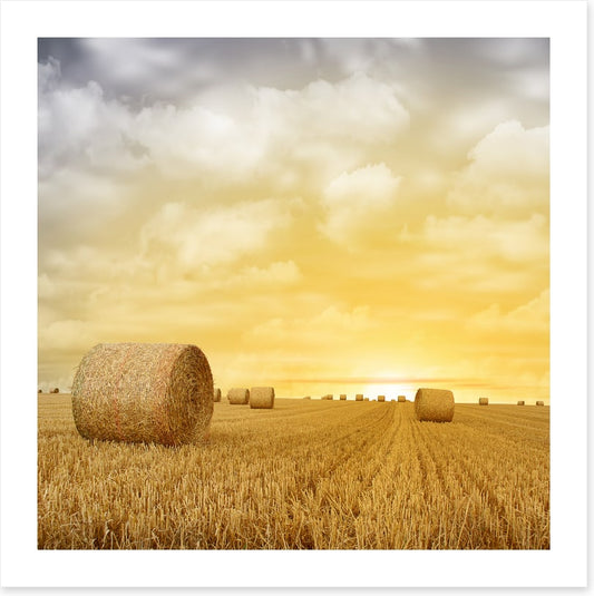 Baled up