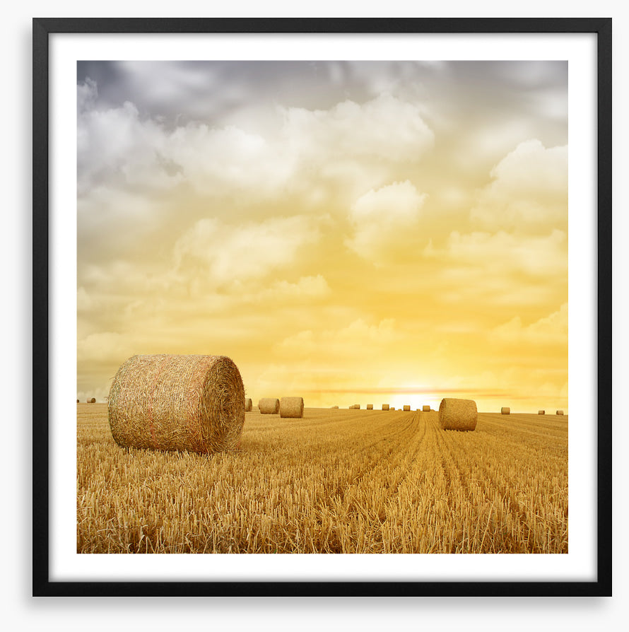Baled up