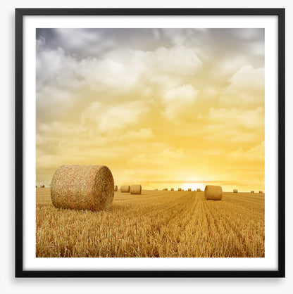 Baled up