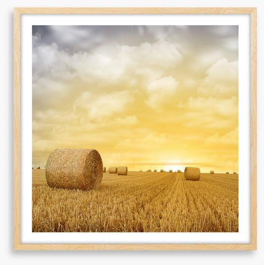 Baled up