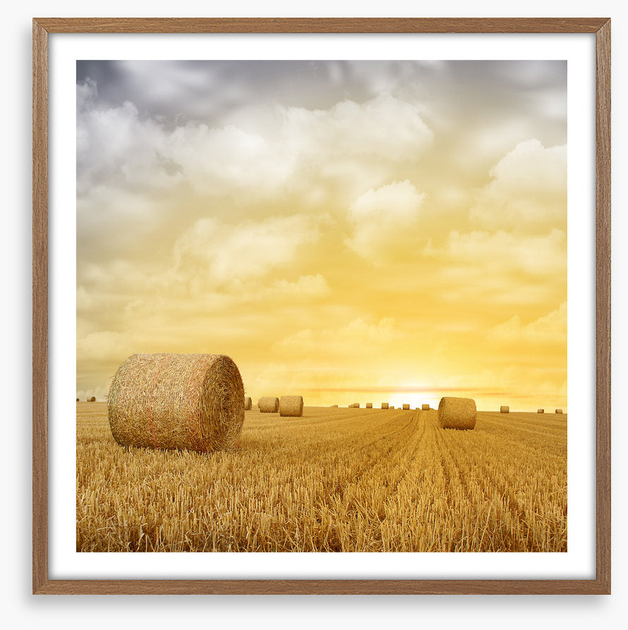 Baled up