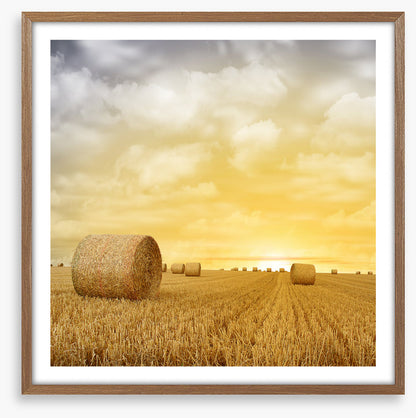 Baled up