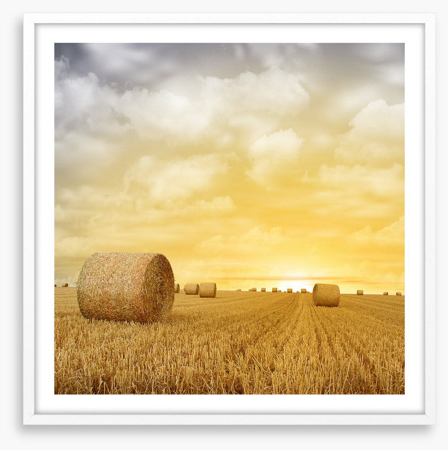 Baled up