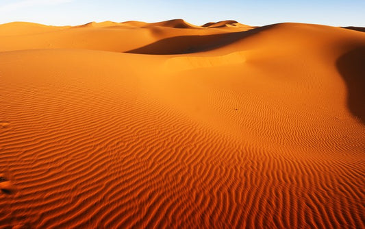 Desert