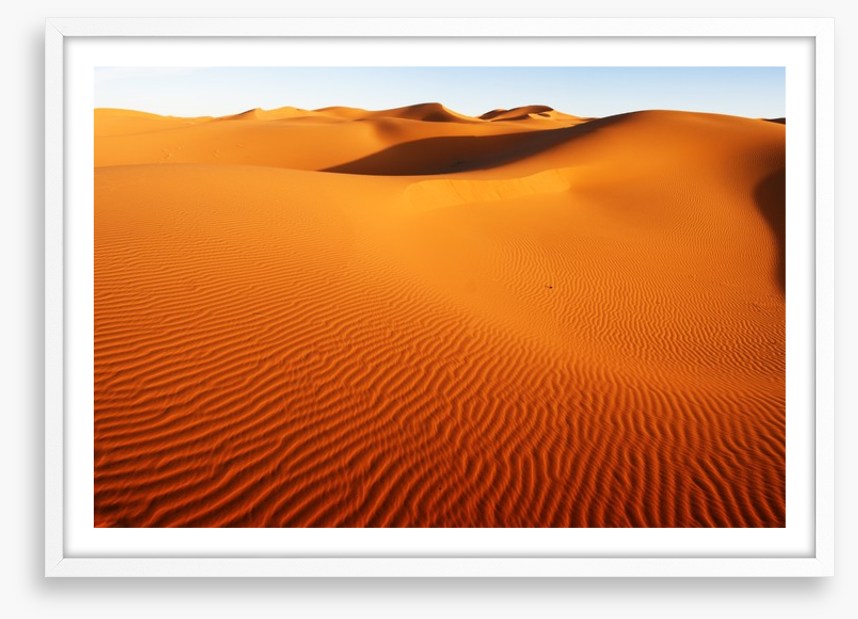 Desert