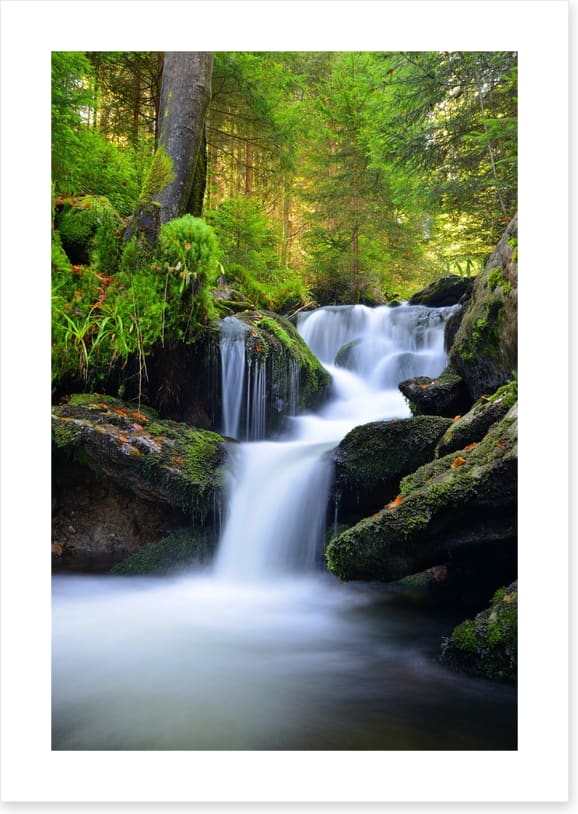 Sumava national park waterfall
