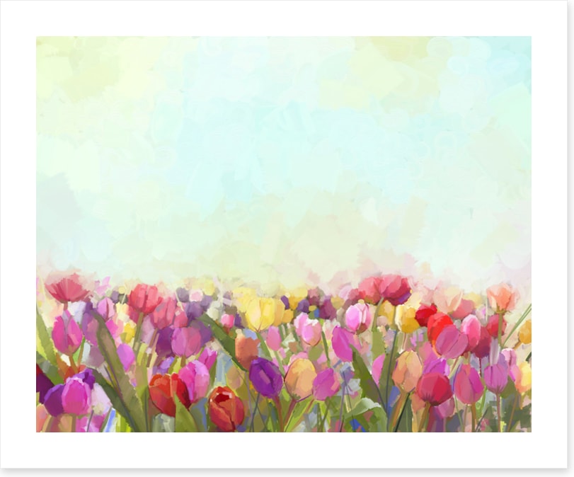 Tulip meadow sunshine