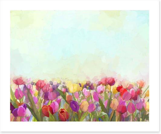 Tulip meadow sunshine