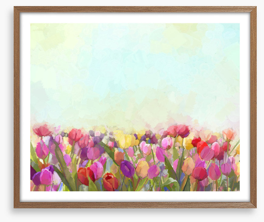 Tulip meadow sunshine