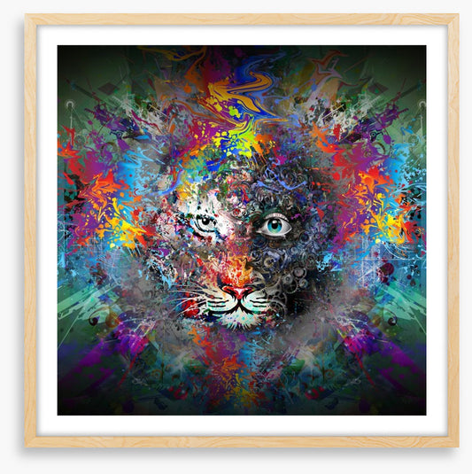 Tiger trance