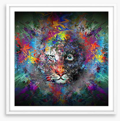Tiger trance