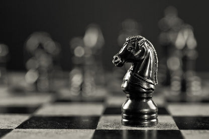 The black knight