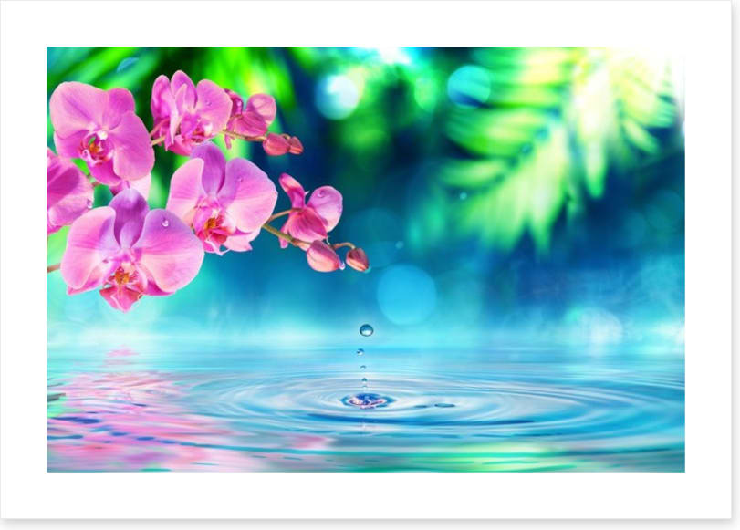 Zen garden droplet