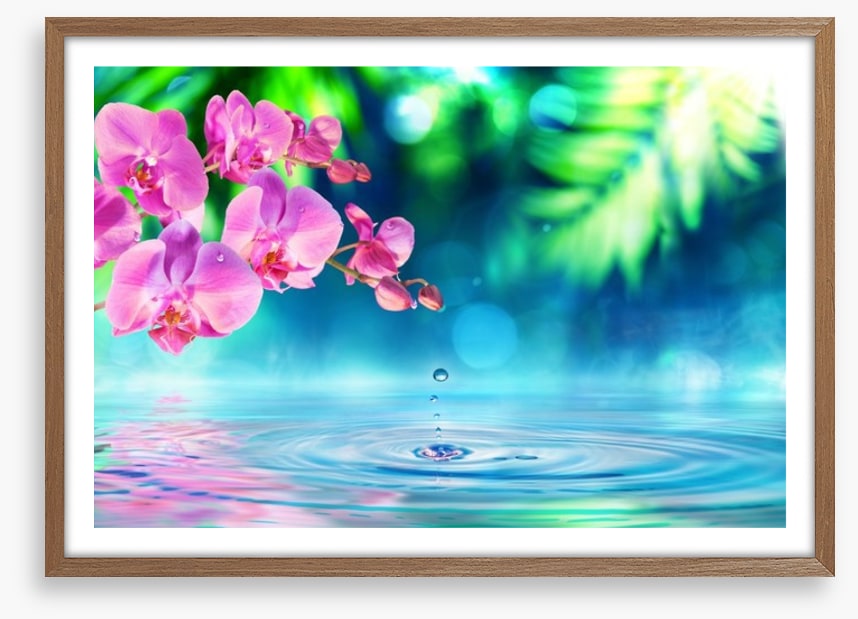 Zen garden droplet
