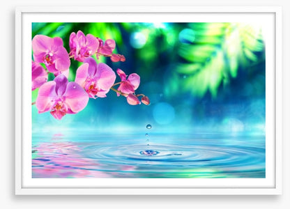 Zen garden droplet