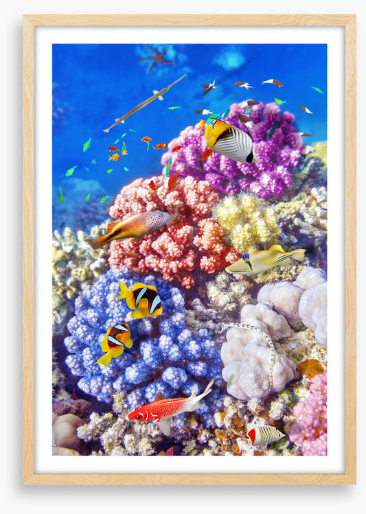 Sea garden swim
