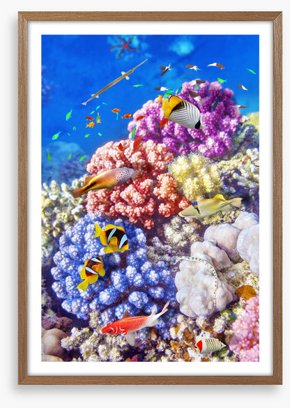 Sea garden swim