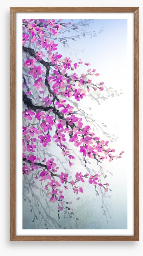 Branches of blossom