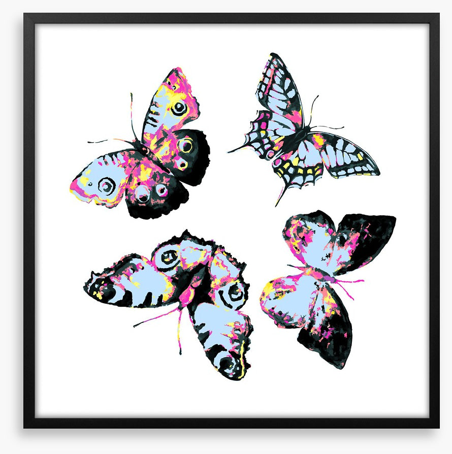 Butterflies