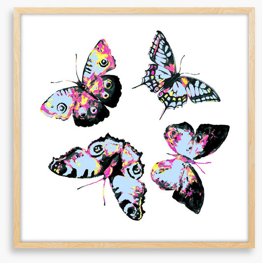 Butterflies