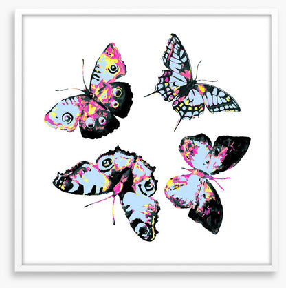 Butterflies