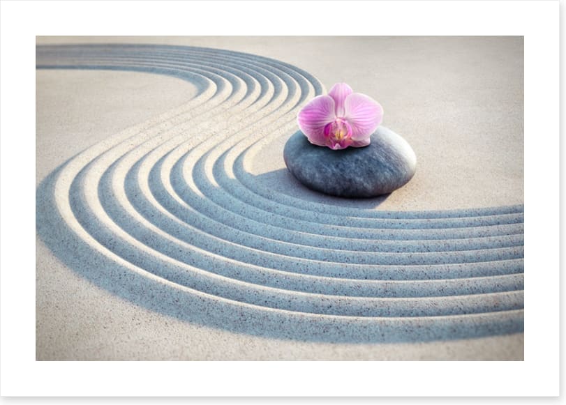Past the pink orchid