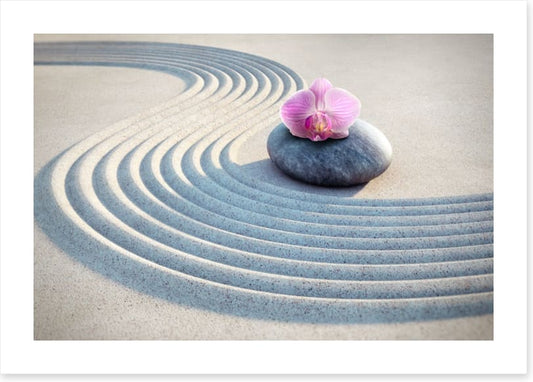 Past the pink orchid