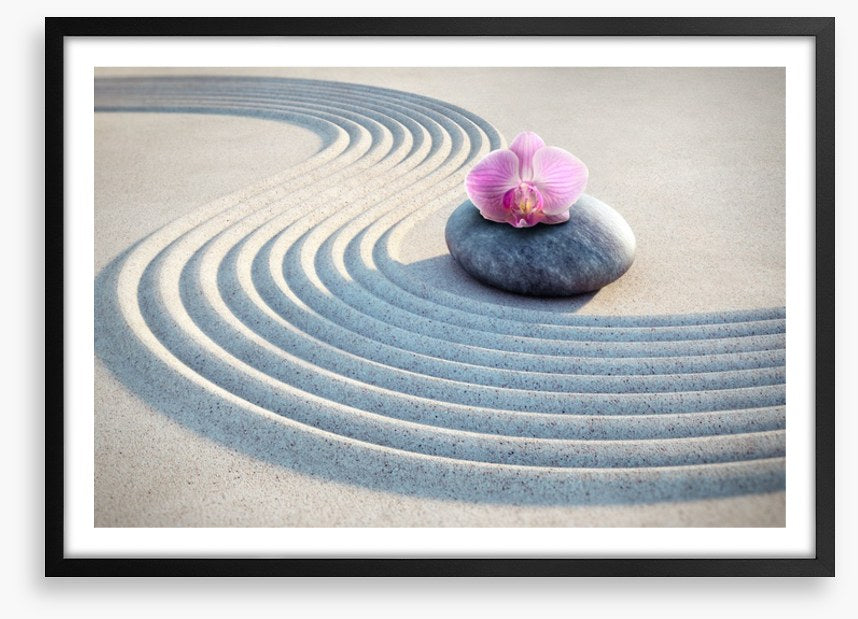Past the pink orchid