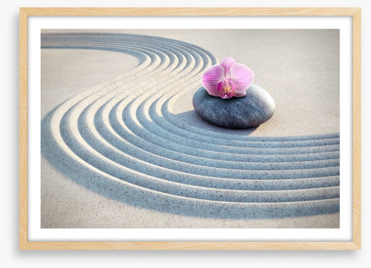 Past the pink orchid