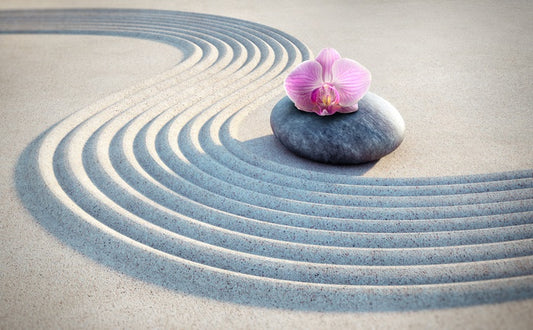 Past the pink orchid
