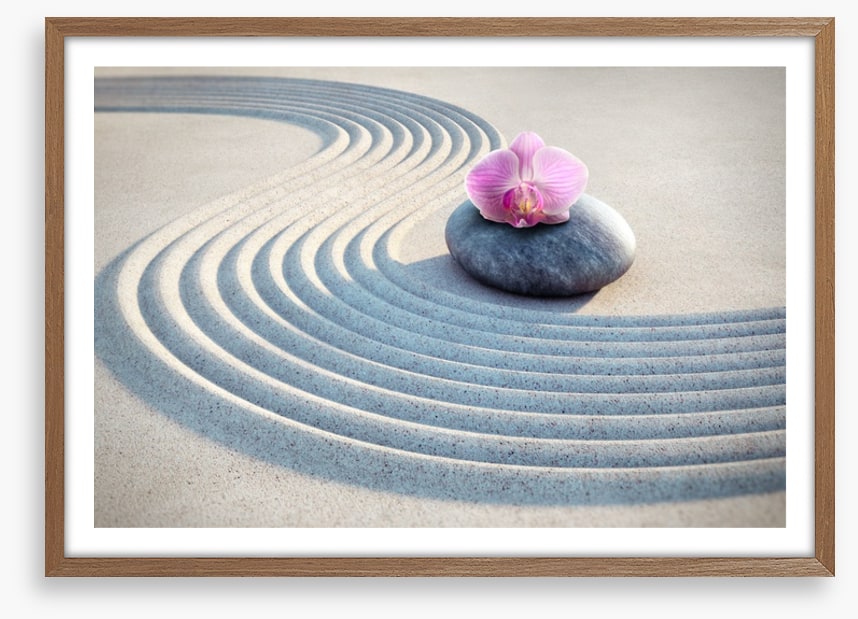 Past the pink orchid