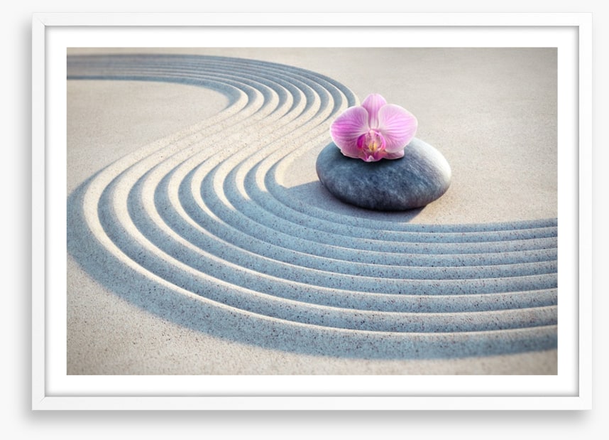 Past the pink orchid