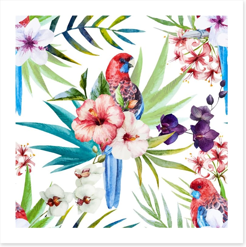 Tropical rosella