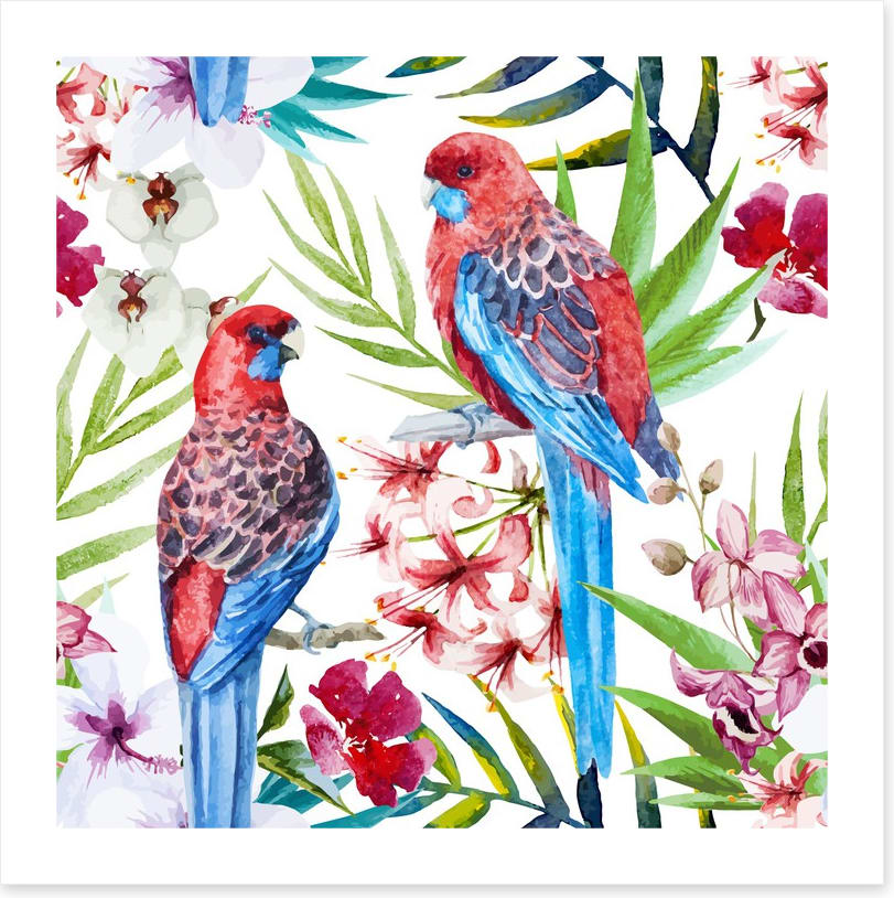 Two crimson rosellas