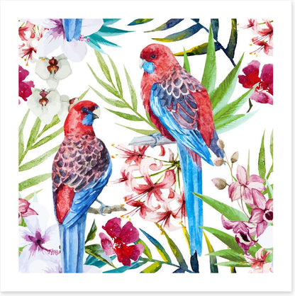Two crimson rosellas