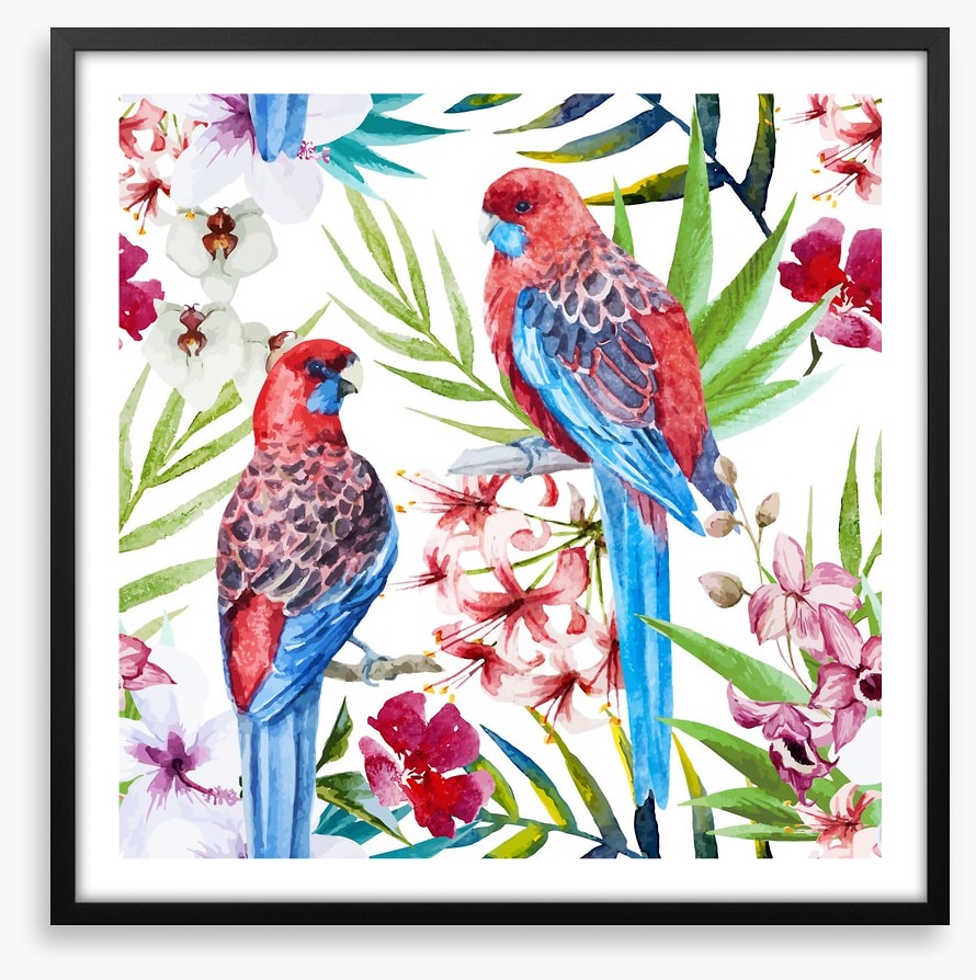 Two crimson rosellas