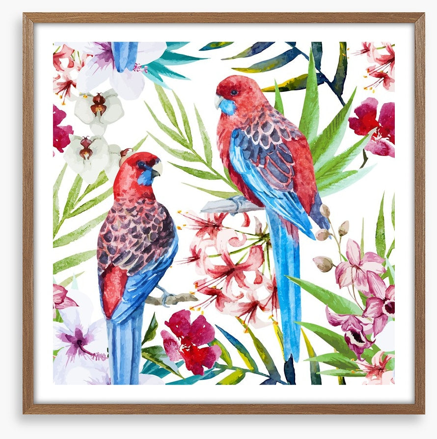 Two crimson rosellas